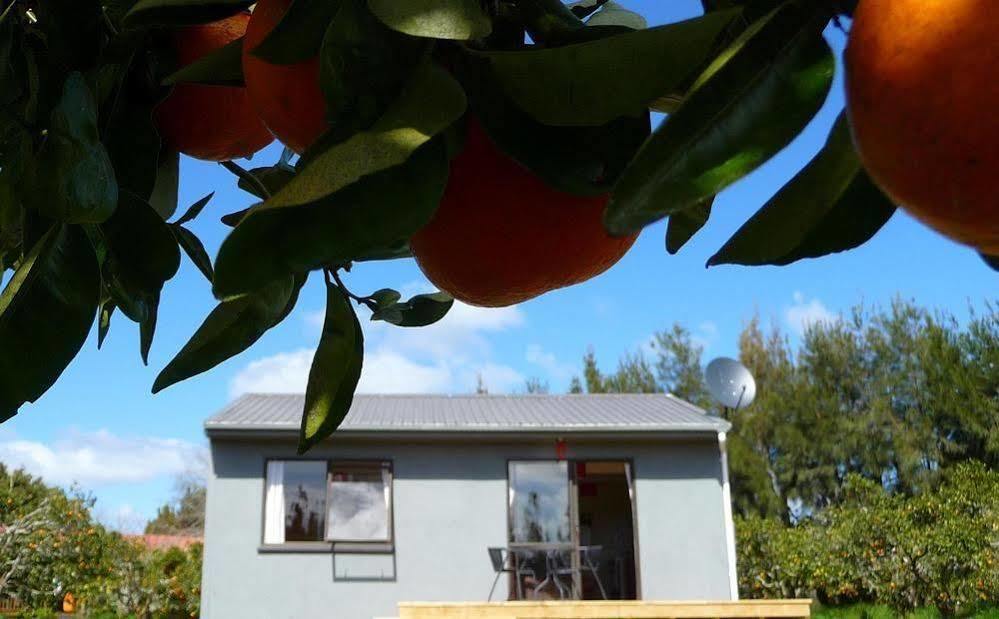 Relax A Lodge Kerikeri Exterior photo